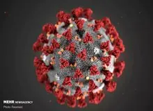 کرونا خودکشی نمی‌کند