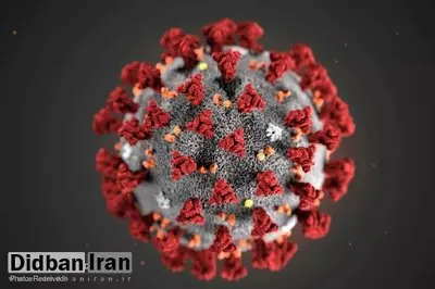 کرونا خودکشی نمی‌کند