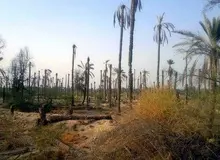  بیست سال اشتباهات عمرانی 