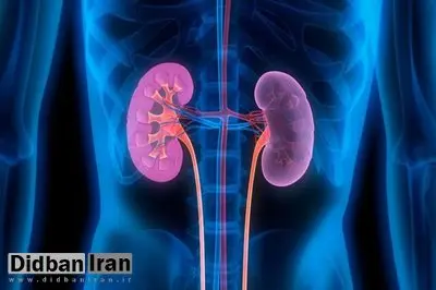 آیا رنگ ادرار نشاندهنده سلامتی است؟