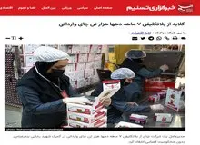 رپرتاژ خبرگزاری تسنیم برای مدیر عامل چای دبش!