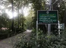 بردن ساز به پارک‌ها آزاد شد؟
