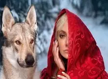 مهناز افشار در ترکیه فیلم بازی می‌کند