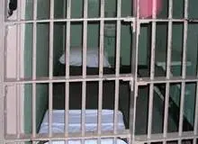 شگردی که یک دزد از داخل زندان یادگرفته بود
