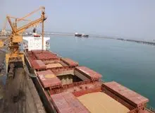 ارز نهاده‌های دامی حذف شد؟/ اتحادیه وارد کنندگان نهاده های دام و طیور: ۳ ماه است ارز نگرفته ایم/ ۴۵ فروند کشتی حامل کالاهای اساسی در بندر امام خمینی متوقف شده