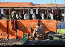 توضیحات اعزازی در خصوص مقصرین تصادف اتوبوس دختران دبیرستانی
