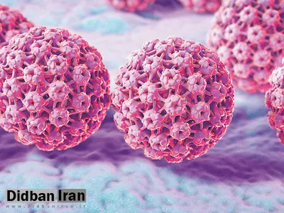 افزایش شیوع HPV فقط زنان را تهدید نمی‌کند