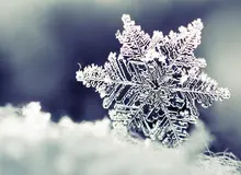 زمستان سیاه تهران