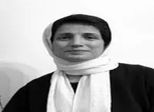 رضا خندان: برای نسرین ستوده وثیقه ۶۵۰ میلیونی صادر شده است
