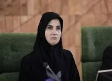 FATF از حوزه اختیارات دولت خارج شد
