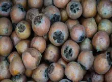 خواص فوق‌العاده این میوه برای قلب و مغز
