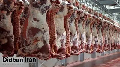 محموله گوشت قرمز از استرالیا رسید