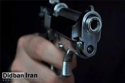 فرمانده یگان منابع طبیعی شمیرانات هدف گلوله قرار گرفت