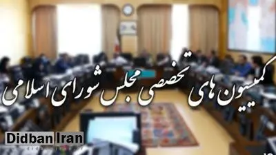 تکلیف کمیسیونهای تخصصی مجلس چه زمانی روشن میشود؟