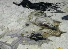 مرد اسیدپاش در تبریز قربانی اسیدپاشی شد