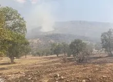 عامل حریق مناطق سبزکوه و ارمند شناسایی و دستگیر شد