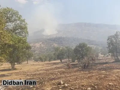عامل حریق مناطق سبزکوه و ارمند شناسایی و دستگیر شد