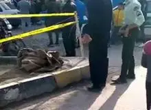 این قتل های ناموسی تمام می شوند؟! 