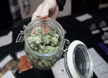 مصرف زیاد مخدر "گُل" در میان دانشجویان خراسان‌شمالی

