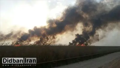 فرماندار هویزه: مهار آتش تالاب هورالعظیم بدون همکاری عراق ممکن نیست