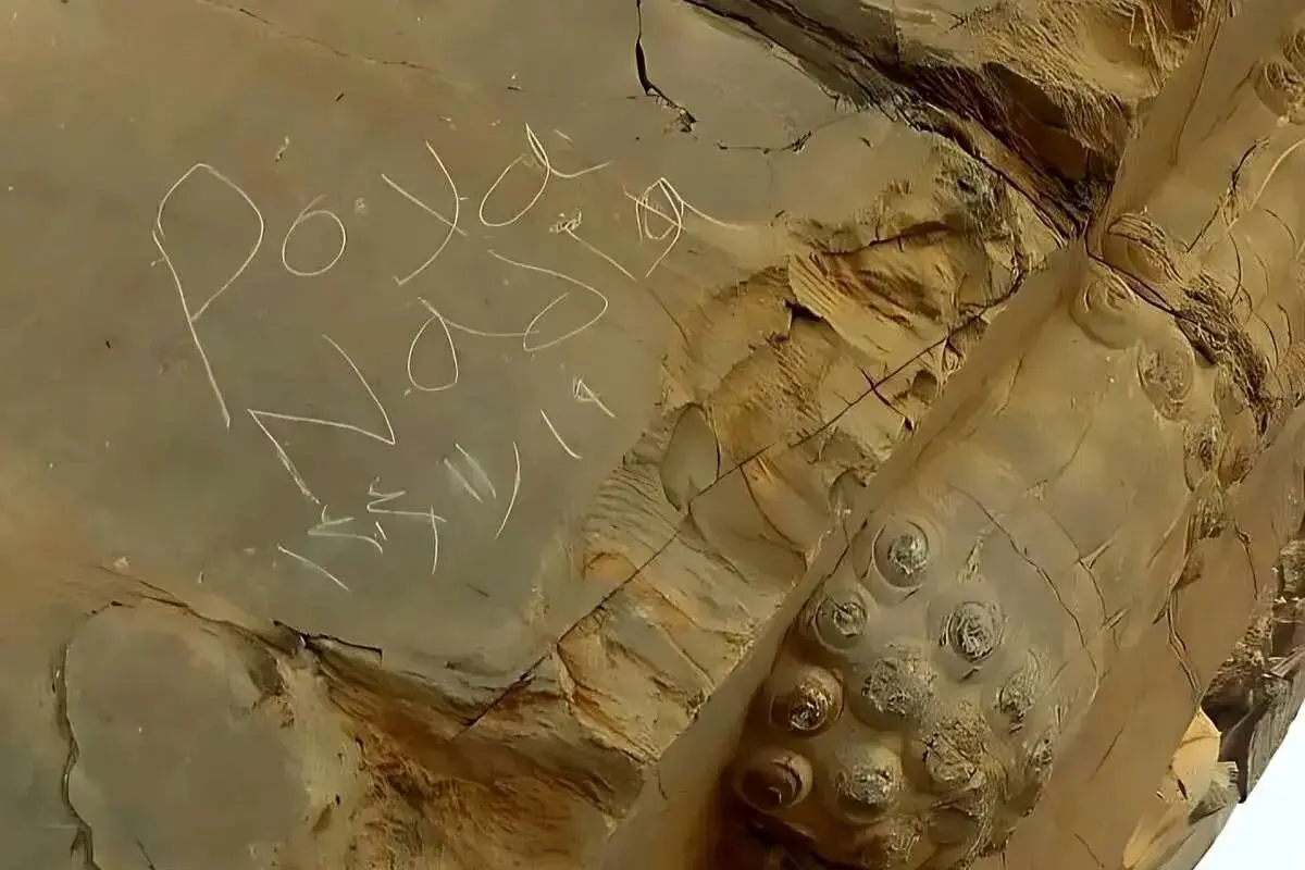 یادگاری‌نویسی از دروازه ملل تخت جمشید پاک شد/ پرونده متخلفان در دستگاه قضایی