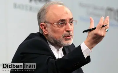 صالحی: برجام را آسان به‌دست نیاورده‌ایم که آسان از دست بدهیم