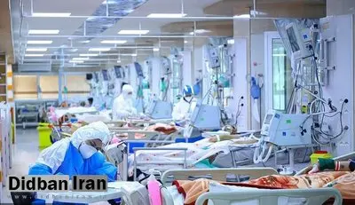 معاون تحقیقات و فناوری وزارت بهداشت: هیات ها را تعطیل کنید/ مرگ روزانه ۸۰۰ نفر بر اثر کرونا می رسد