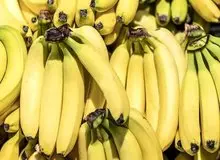  رانت واردات موز در قبال صادرات سیب!