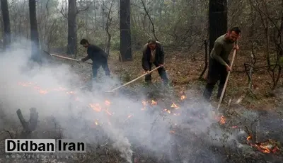 دادستان گلستان: هیچ بی‌احتیاطی در جنگل هیرکانی بدون مجازات نمی‌ماند