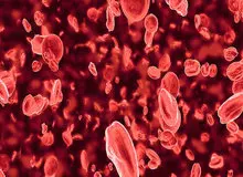 مراقب باشید/ این داروها و خوراکی‌ها پلاکت خون را کاهش می‌دهند