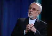 صالحی: روسیه اجازه نداد از سوخت ساخت ایران در راکتور بوشهر استفاده کنیم