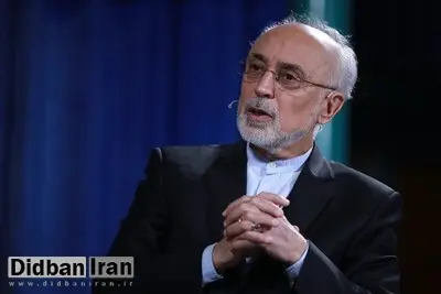 صالحی: روسیه اجازه نداد از سوخت ساخت ایران در راکتور بوشهر استفاده کنیم