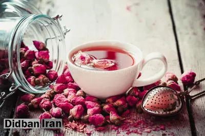 ۷ خاصیت درمانی «گل محمدی» برای سلامتی/ از درمان دردهای قاعدگی تا رفع بوی بد دهان 