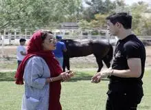 بهاره افشاری بیلبوردهای شهرداری را پس داد/ زحمات گروهم را فدای بازی‌های پشت‌پرده نمی‌کنم
