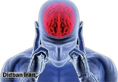 آیا ما فقط از ۱۰ درصد توان مغز خود استفاده می‌کنیم؟