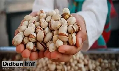 پسته صادراتی ایران برگشت خورد/ ماجرا چیست؟