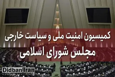 جلسه فوق‌العاده کمیسیون امنیت ملی مجلس/ سخنگوی کمیسیون امنیت ملی: عاملان ترور شهید «اسماعیل هنیه» پاسخ سختی دریافت خواهند کرد