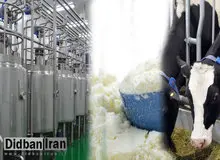 ضربه ای که ممنوعیت صادرات شیر خشک به صنعت شیر ایران وارد کرد/ سیاوش سلیمی رئیس انجمن صنفی تولید کنندگان شیر خشک کشور: اصرار مقامات بر "ممنوعیت صادرات شیر خشک" هیچ توجیه منطقی  ندارد +فیلم 