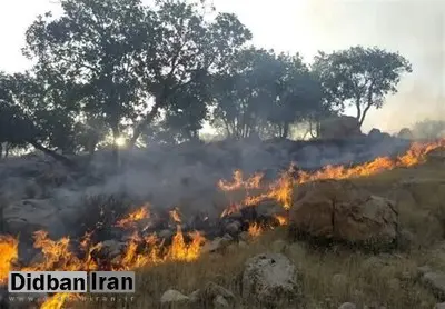 ورود دادستانی به آتش سوزی جنگل‌های الیت