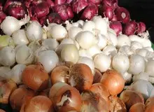 در سال ۹۹ قیمت ۳۹ کالا بیش از ۵۰درصد با افزایش قیمت مواجه بود/ «پیاز» تنها کالایی بود که سال گذشته کاهش قیمت داشت!