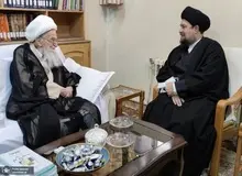 سیدحسن خمینی: آیت الله صافی گلپایگانی بر اخبار ایران و جهان احاطه داشت