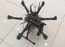 کشف تعداد قابل توجهی ریزپرنده در بوشهر 