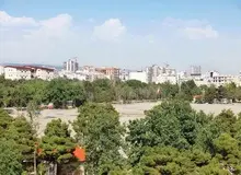 معمای قلع‌و‌قمع شبانه درختان خیابان پاسداران؛ چرا نهادهای مرتبط سکوت کردند؟