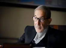 واکنش ولایتی به ادعای ترکیه و آذربایجان درباره طرح دالان زنگزور