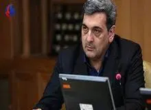 حناچی: پیگیر سرقت سردیس قیصر امین‌پور هستم
