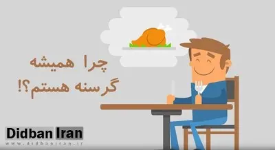 چرا گرسنه می‌شوید؛ چهار دلیل برای اینکه همیشه گرسنه هستید