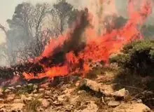 آتش مراتع جنگلی خاکه چرموی دالاهو را فرا گرفت + فیلم