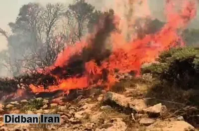 آتش مراتع جنگلی خاکه چرموی دالاهو را فرا گرفت + فیلم