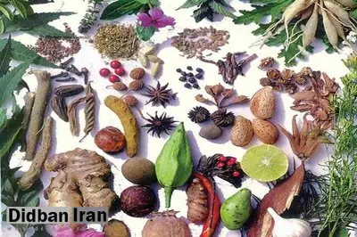 گیاهان دارویی، قاتل چربی خون بالا