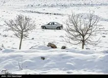 آخرین وضعیت جوی استان های کشور ؛ بارش باران شدید در برخی استان ها/ بارش برف بهاری در جاده‌های چهار محال بختیاری و کرمان